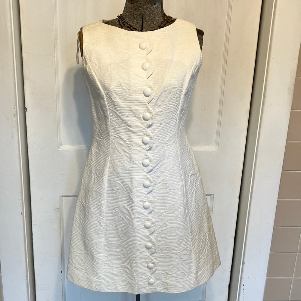 Tena Paige Vintage Dress